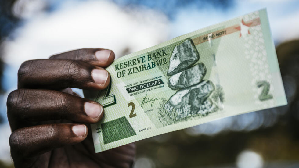 ZIG, la nouvelle monnaie Zimbabwe copy right (Rfi)