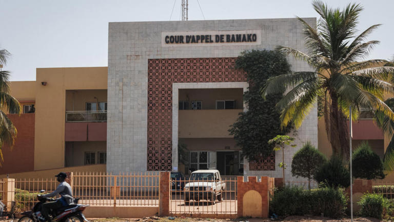Mali : un tribunal suspend la dissolution des partis politiques