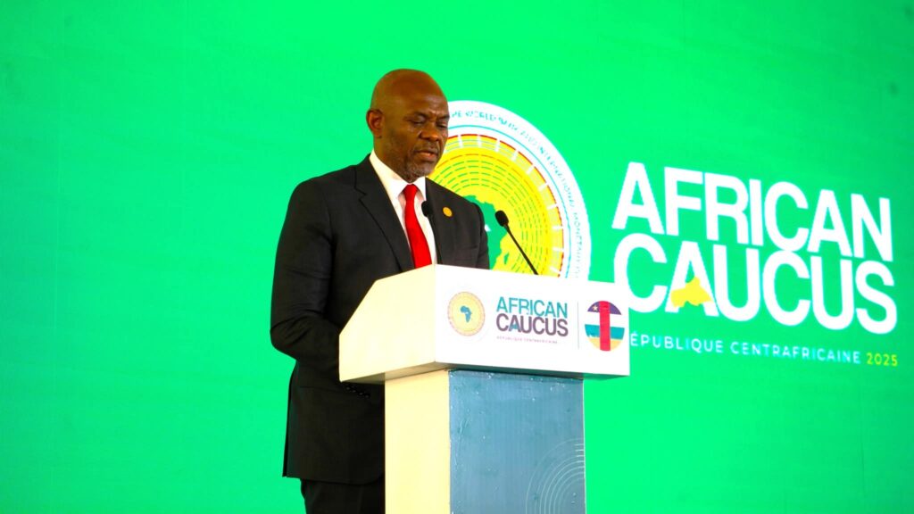 Caucus africain 2025 : le plaidoyer de Tony Elumelu pour l’Afrique