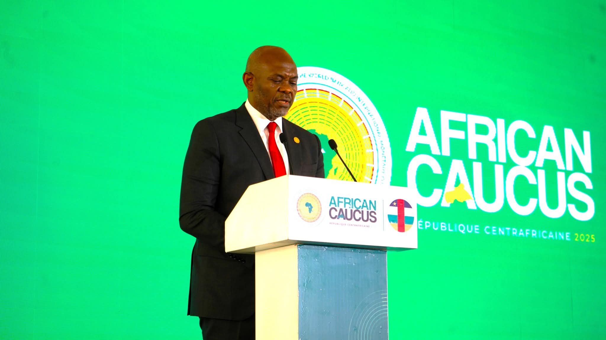 Caucus africain 2025 : le plaidoyer de Tony Elumelu pour l’Afrique