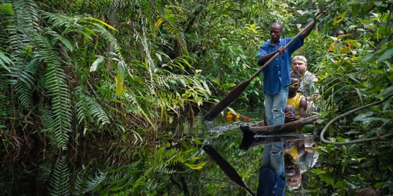Tourisme : l’Afrique en tête du rebond mondial début 2025