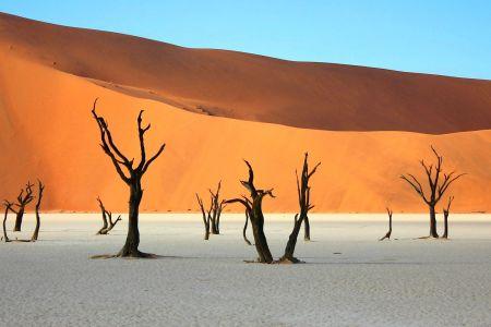 Découverte : l’Erg du Namib le joyau désertique de la Namibie