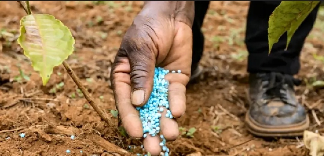Moyen-Orient : l’OMC alerte sur la double menace liée aux engrais