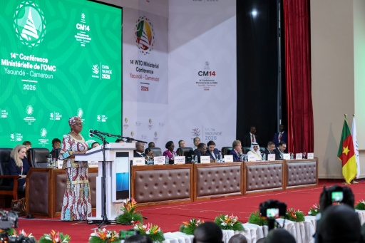 Cameroun : les ministres de l’OMC  se réunissent à Yaoundé