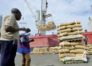 Sénégal : les exportations bondissent de 7,8 % au mois de janvier