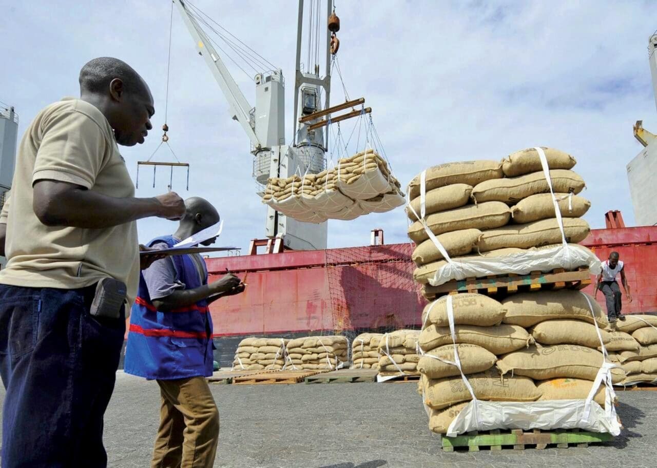 Sénégal : les exportations bondissent de 7,8 % au mois de janvier