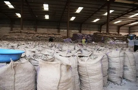 Économie : les exportations agricoles non traditionnelles ont généré 710 millions dollars en 2025 au Ghana