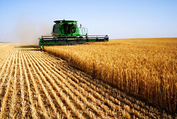 Economie : plus de 164 milliards FCFA mobilisés pour accélérer la relance agricole au Burkina Faso