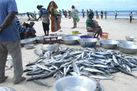 Gabon : l’accord de pêche avec l’Union européenne prend fin sans renouvellement