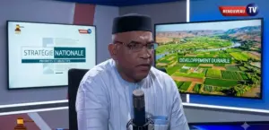 Mali : un journaliste emprisonné après des propos sur Kidal