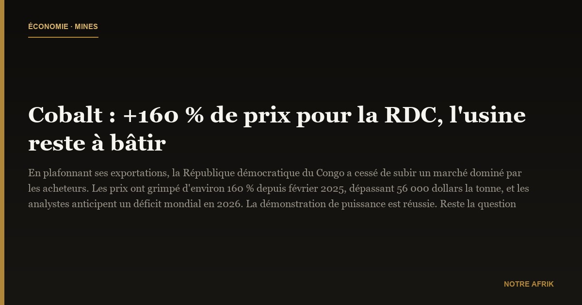 Cobalt : +160 % de prix pour la RDC, l'usine reste à bâtir