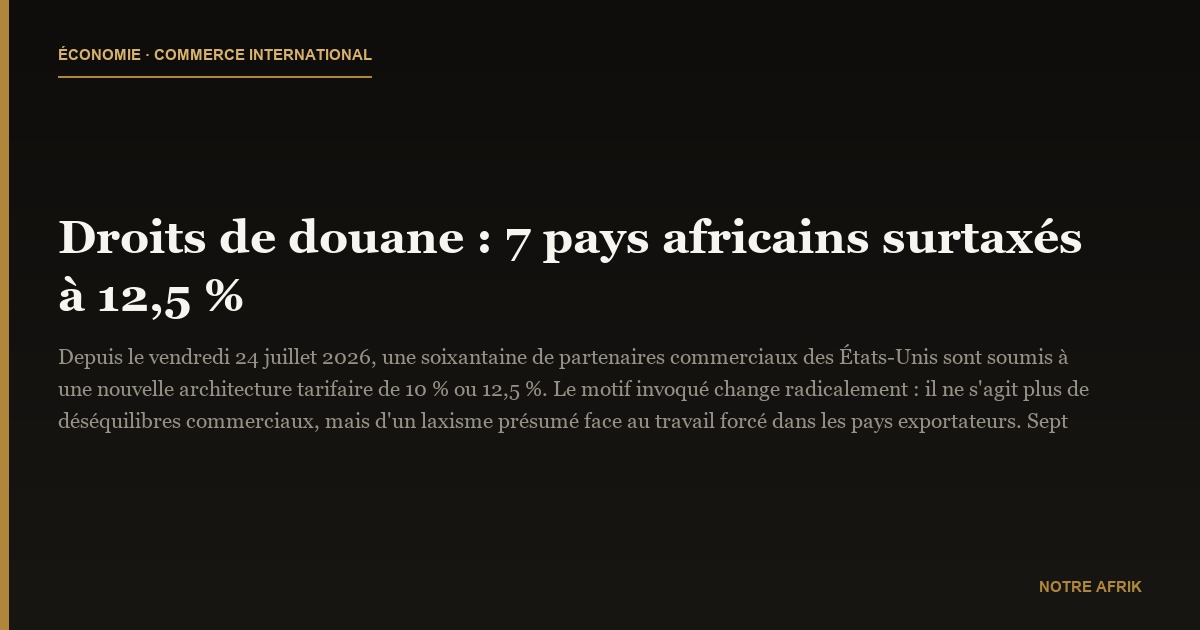 Droits de douane : 7 pays africains surtaxés à 12,5 %