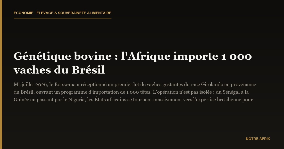 Génétique bovine : l'Afrique importe 1 000 vaches du Brésil