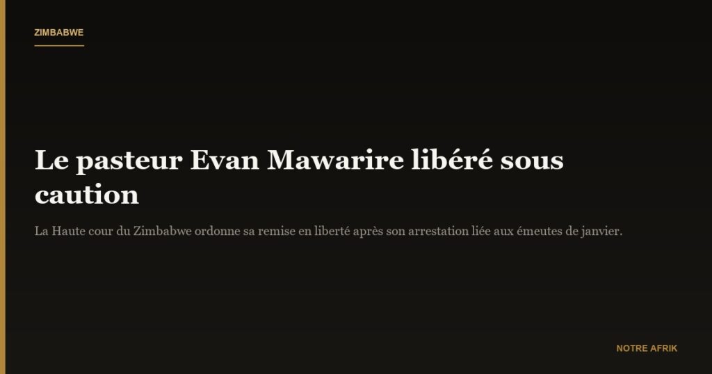 Zimbabwe: le pasteur Evan Mawarire libéré sous caution