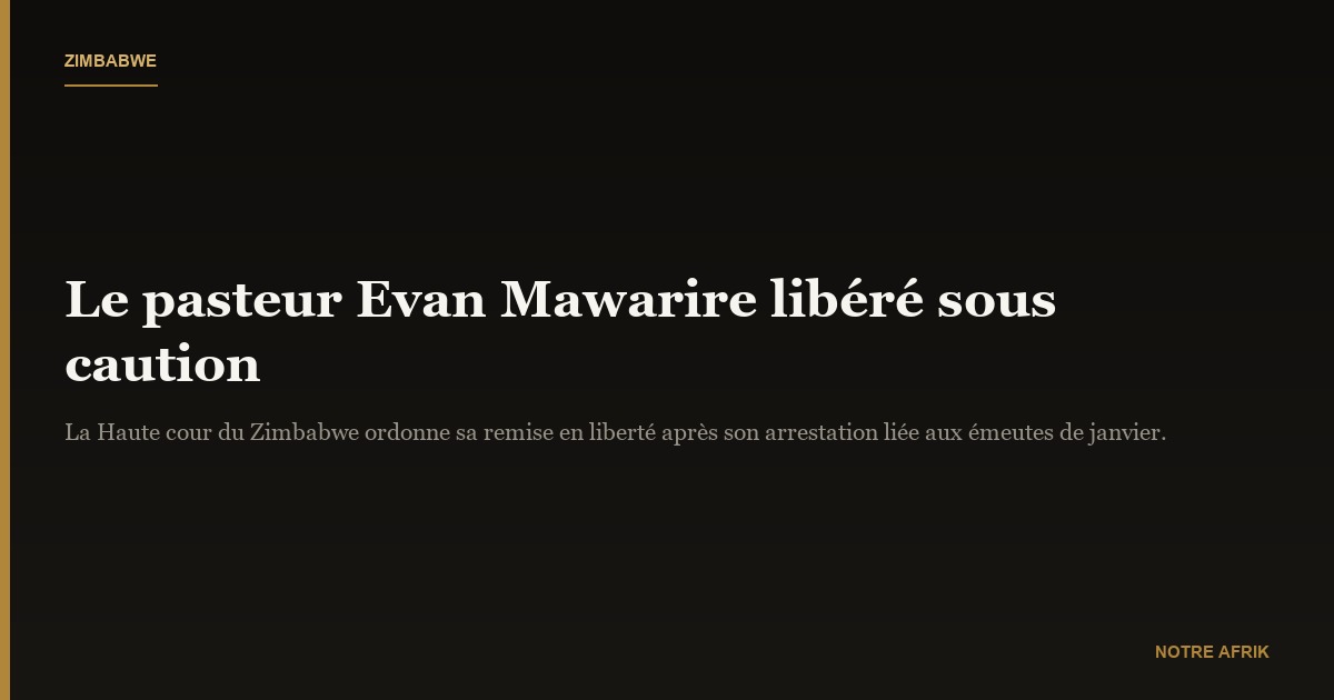 Zimbabwe: le pasteur Evan Mawarire libéré sous caution