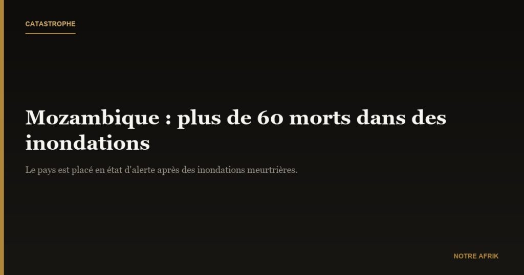 Mozambique: plus de 60 morts dans des inondations, le pays en état d’alerte