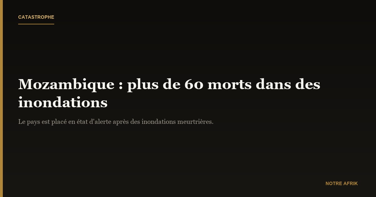Mozambique: plus de 60 morts dans des inondations, le pays en état d’alerte