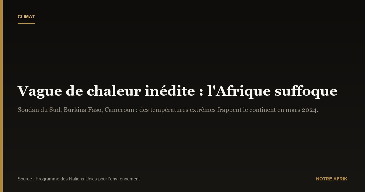 Réchauffement climatique : vague de chaleur sur l’Afrique