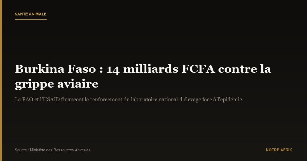 Burkina Faso : 14 milliards pour lutter contre la grippe aviaire