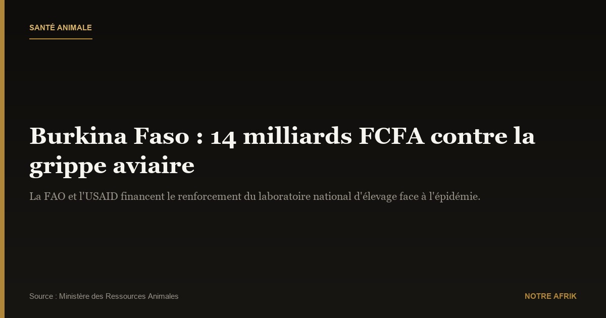 Burkina Faso : 14 milliards pour lutter contre la grippe aviaire