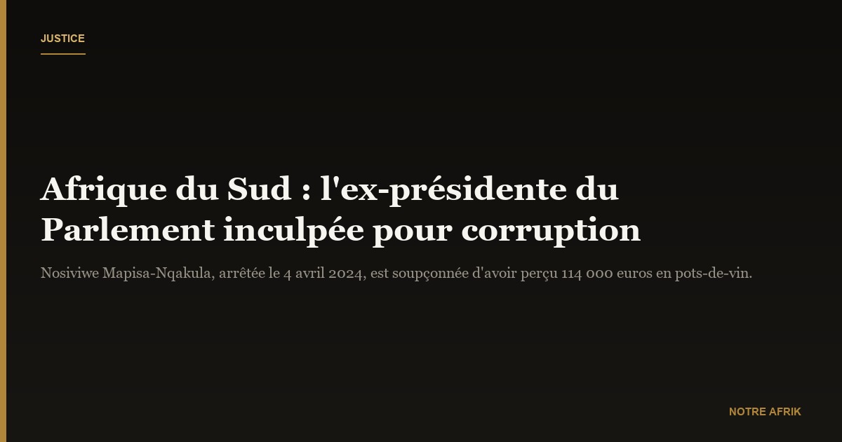 Afrique du Sud : L’ex-présidente du Parlement inculpée pour corruption