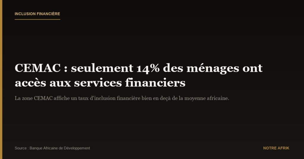 CEMAC : le défi de l'amélioration de l'inclusion financière