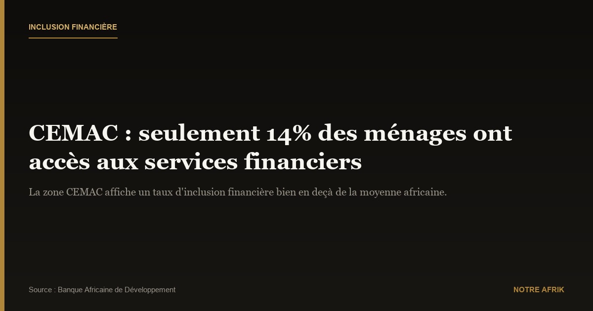 CEMAC : le défi de l'amélioration de l'inclusion financière