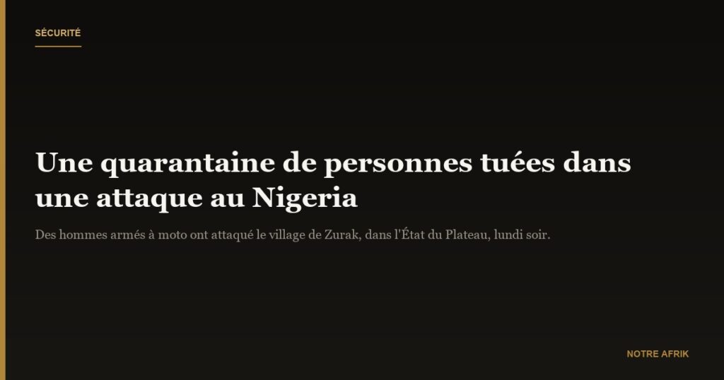 Centre du Nigeria : une quarantaine de personnes tuées dans une attaque