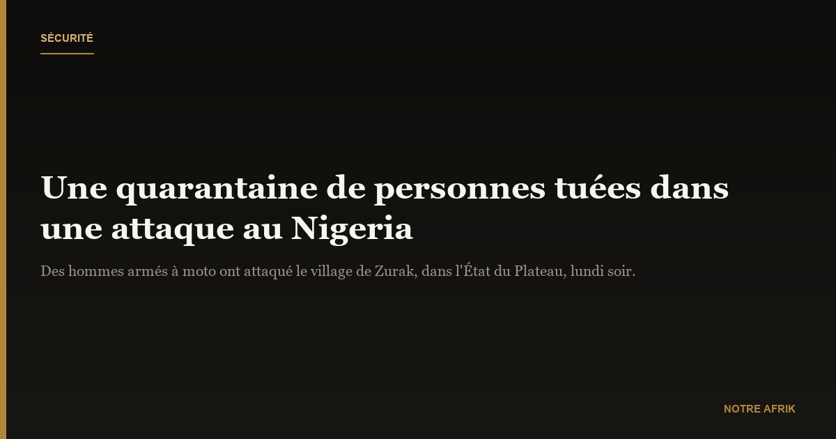 Centre du Nigeria : une quarantaine de personnes tuées dans une attaque