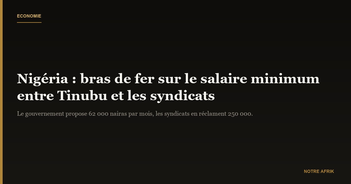 Nigéria : Bola Tinubu s'engage à revoir le salaire minimum