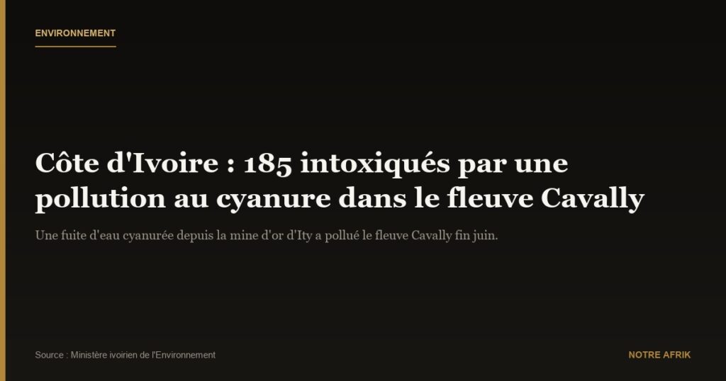 Côte d'Ivoire : 185 personnes intoxiquées par une pollution minière dans un fleuve