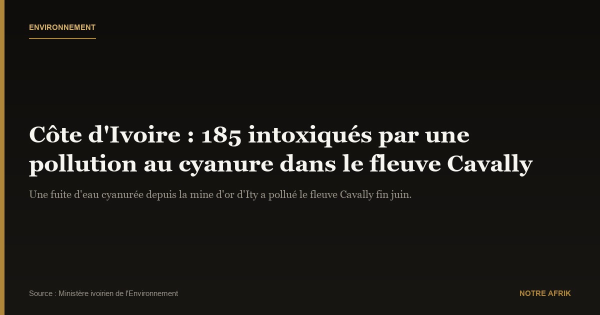 Côte d'Ivoire : 185 personnes intoxiquées par une pollution minière dans un fleuve