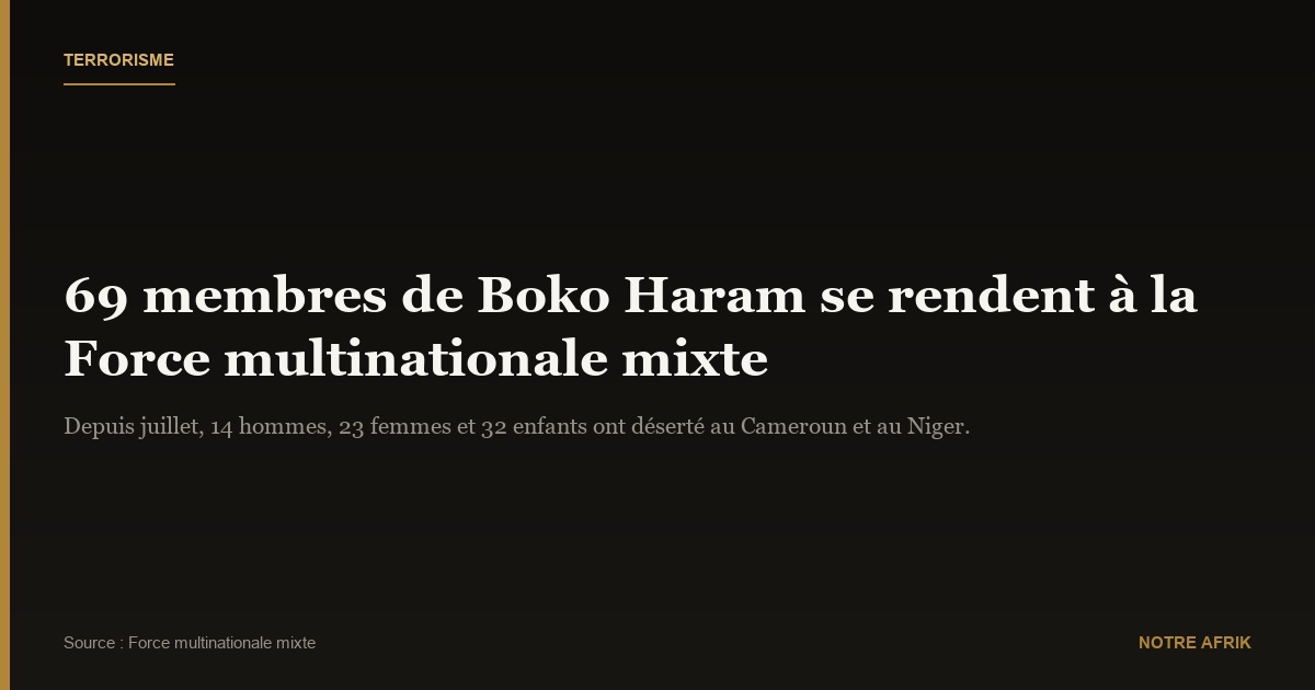 Terrorisme : d'anciens membres de Boko Haram se rendent