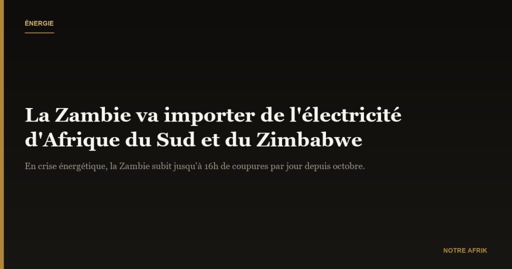 Coopération : la Zambie va recevoir de l'électricité de ses voisins