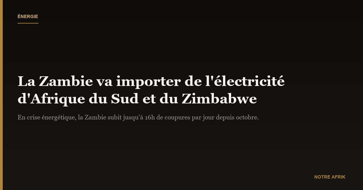 Coopération : la Zambie va recevoir de l'électricité de ses voisins