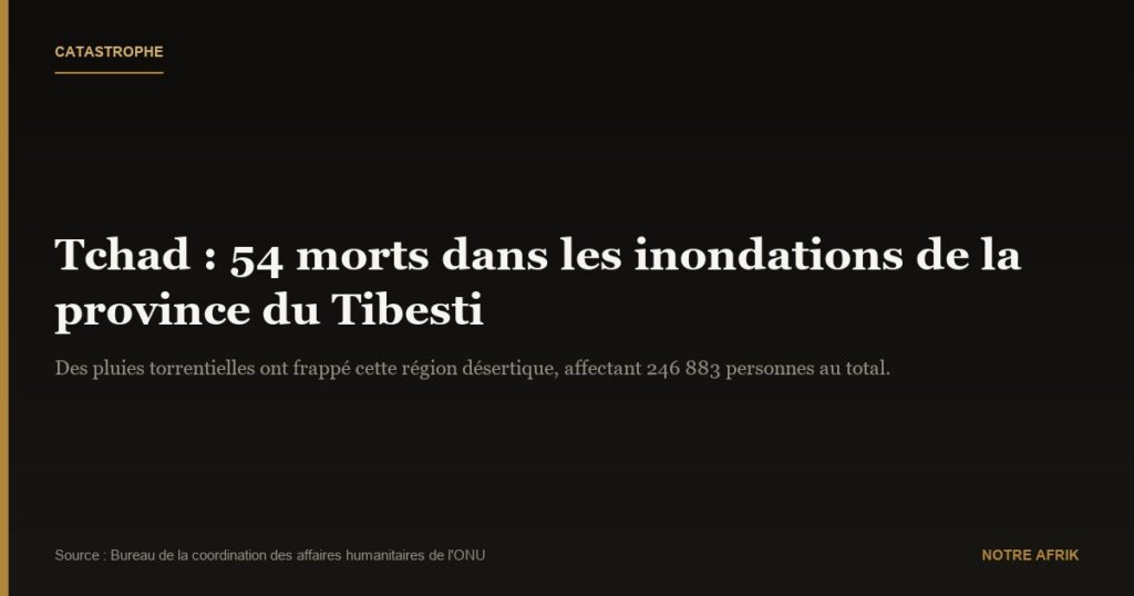 Tchad : les inondations font 54 morts dans l'extrême-nord