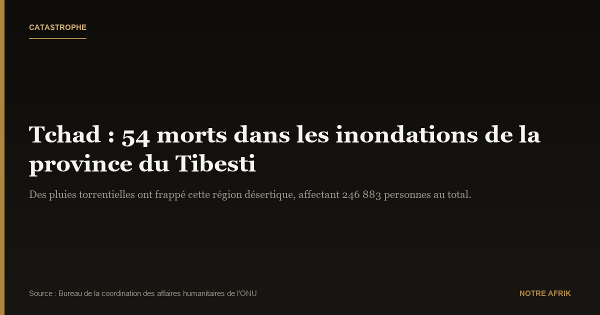 Tchad : les inondations font 54 morts dans l'extrême-nord