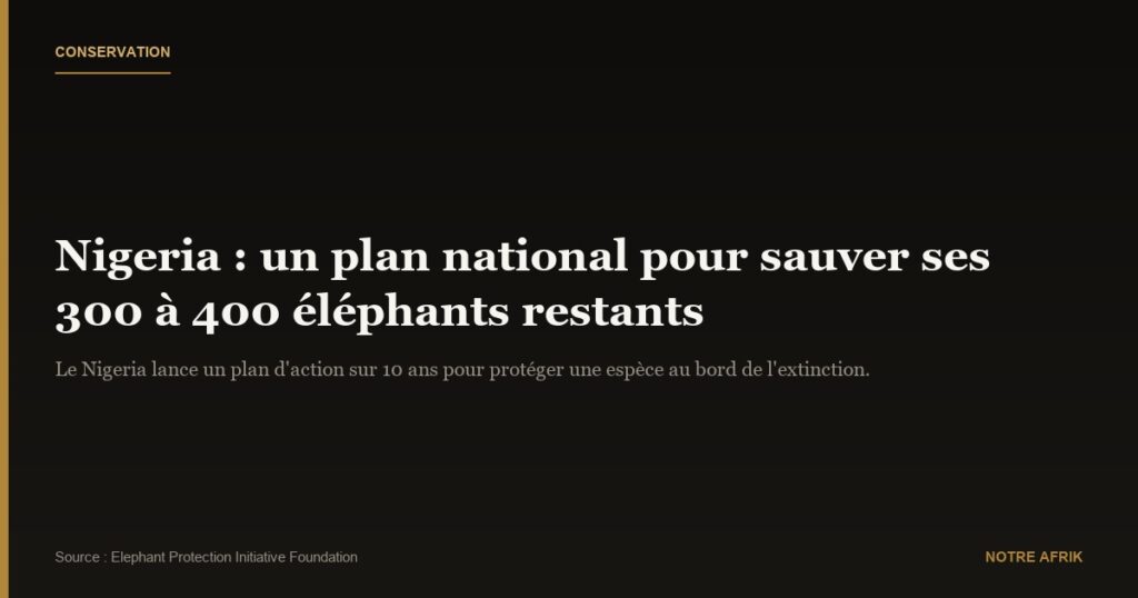 Nigeria : un plan national pour protéger les éléphants survivants