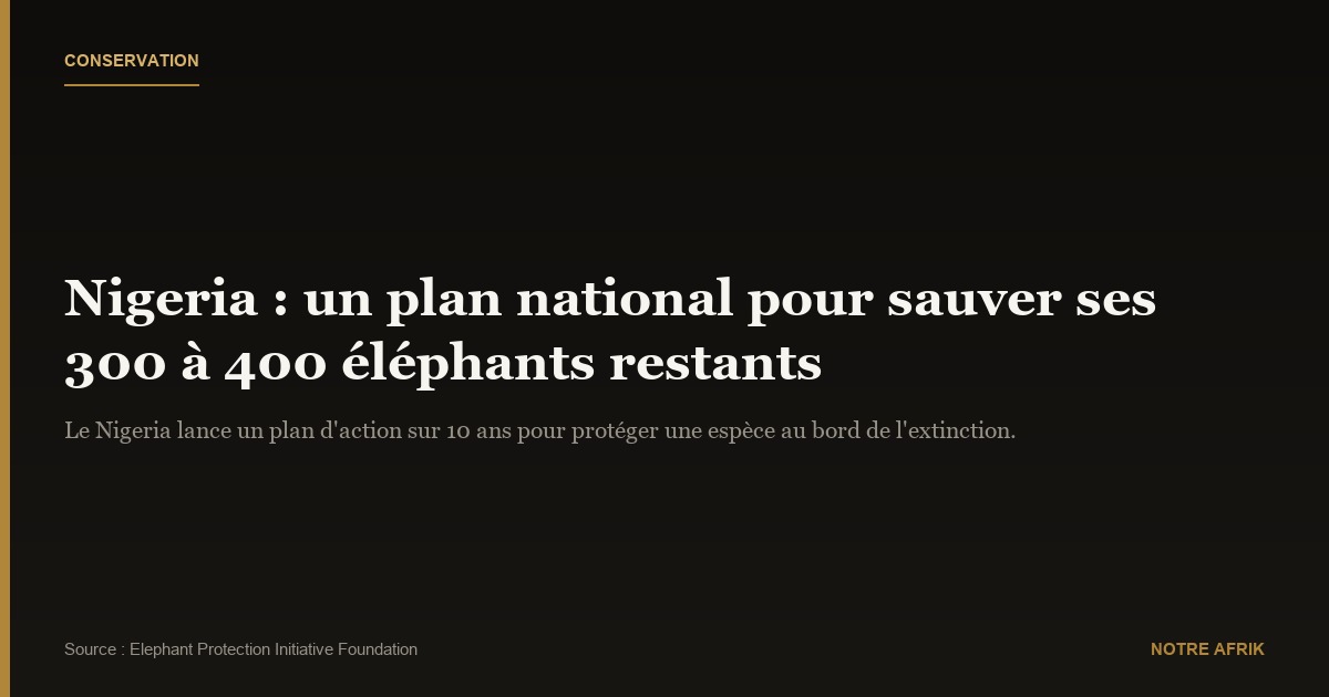 Nigeria : un plan national pour protéger les éléphants survivants