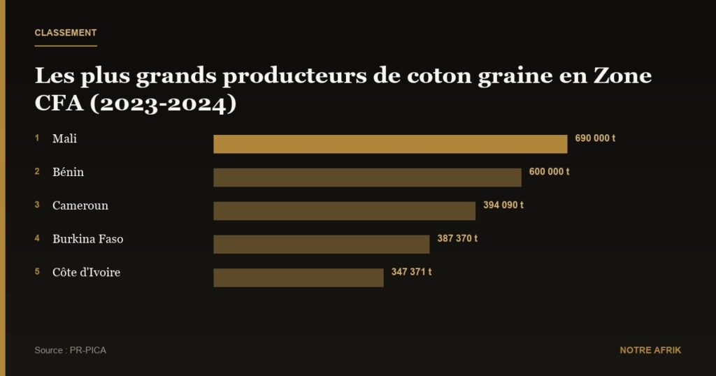Zone CFA : la production de coton augmente de 24 % en 2023-2024