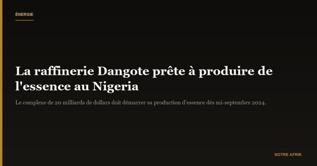 Nigeria : la raffinerie Dangote prête à produire de l'essence locale dès septembre
