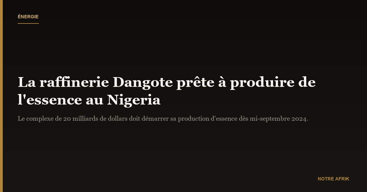 Nigeria : la raffinerie Dangote prête à produire de l'essence locale dès septembre