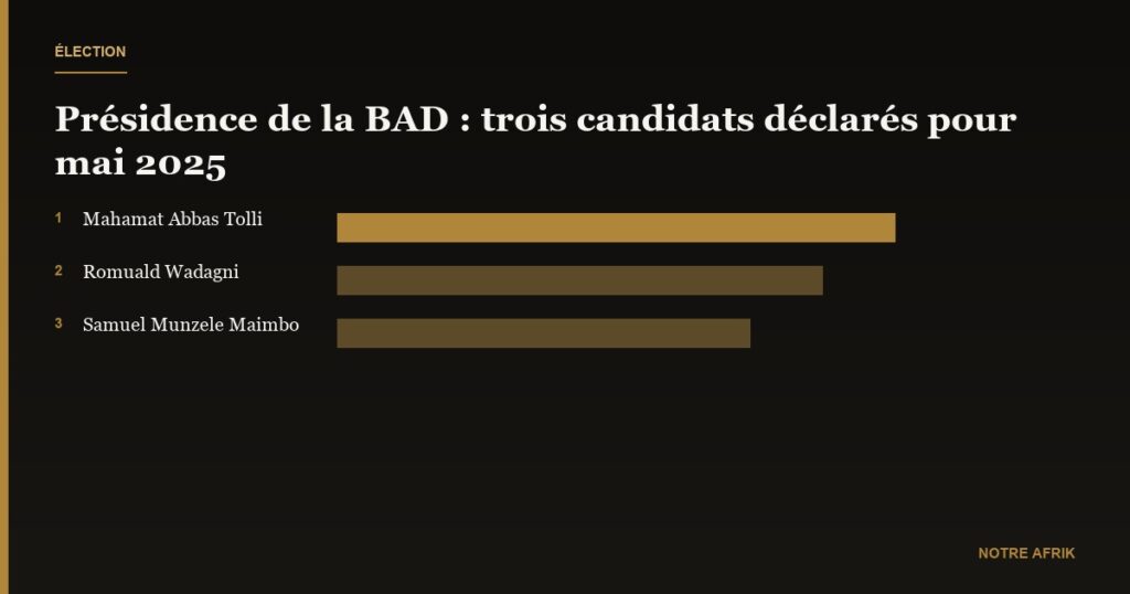 Élections à la présidence de la BAD : déjà trois candidats en lice