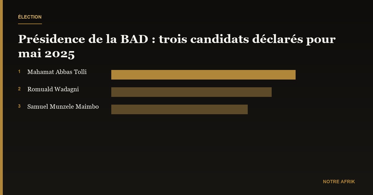 Élections à la présidence de la BAD : déjà trois candidats en lice