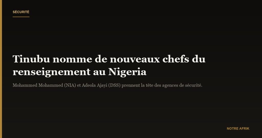 Nigeria : Bola Tinubu désigne de nouveaux responsables pour les services de renseignement et la police secrète