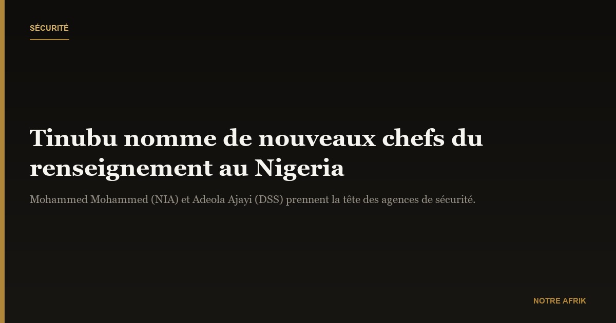 Nigeria : Bola Tinubu désigne de nouveaux responsables pour les services de renseignement et la police secrète