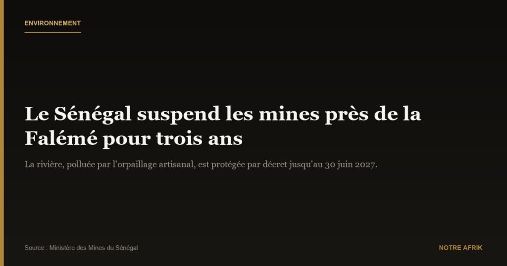 Pollution : le Sénégal suspend les opérations minières le long du fleuve Falémé pour trois ans