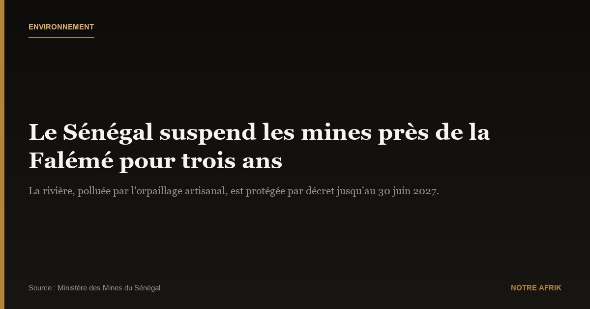 Pollution : le Sénégal suspend les opérations minières le long du fleuve Falémé pour trois ans
