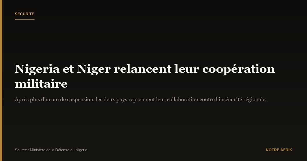 Coopération : le Nigeria et le Niger officialisent la reprise de leur collaboration en matière de sécurité
