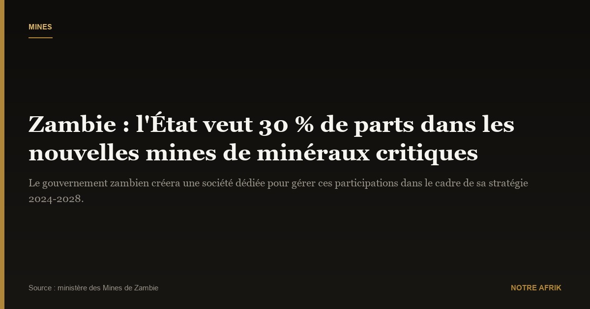 Zambie : le gouvernement vise 30 % de parts dans les nouvelles mines minéraux critiques
